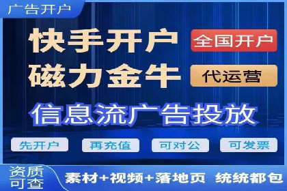 百度竞价广告投放策略：案例分析及效果评估